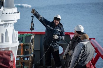 Українські вчені в Антарктиді вперше записали звуки рідкісних китів