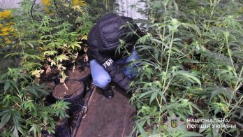 Львівська поліція вилучила у групи наркоторговців канабісу на 3 млн грн – 04