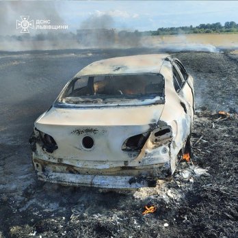 Пожежа сухостою на Львівщині