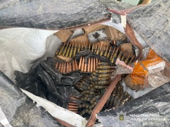 У мешканця Золочівщини поліція знайшла в сараї арсенал зброї – 02