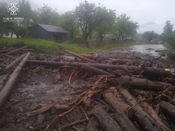 Негода на Прикарпатті. Фото: ГУ ДСНС України в Івано-Франківській області