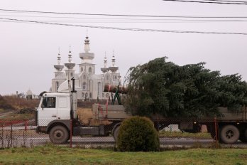 В центрі Львова встановили головну різдвяну ялинку – 05