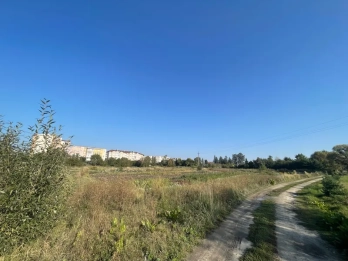 Земельна ділянку, яку продали на аукціоні