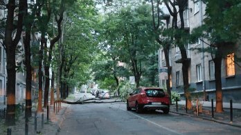 У Львові сильний буревій повалив дерева у різних частинах міста – 05