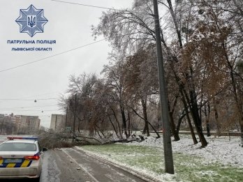 Повалені дерева, обірвані лінії електропередачі та пошкоджені авто: наслідки негоди у Львові – 02