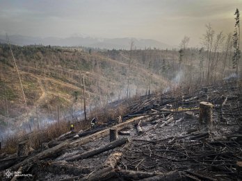 На Закарпатті виникла масштабна лісова пожежа: її гасять понад 100 рятувальників – 01