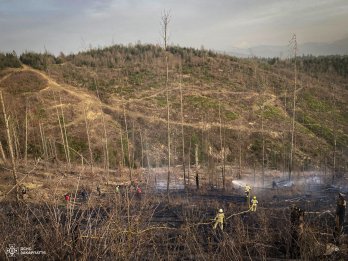 На Закарпатті виникла масштабна лісова пожежа: її гасять понад 100 рятувальників – 04
