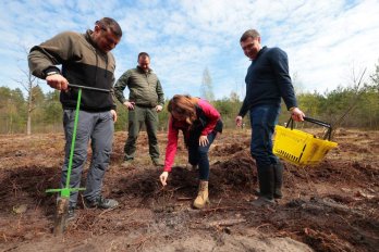 Інвестиції в майбутнє: Львівщина взяла участь в масштабній благодійній акції висадки дерев – 13