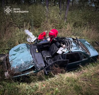 На Львівщині 46-річний водій Volkswagen збив корову і загинув – 02