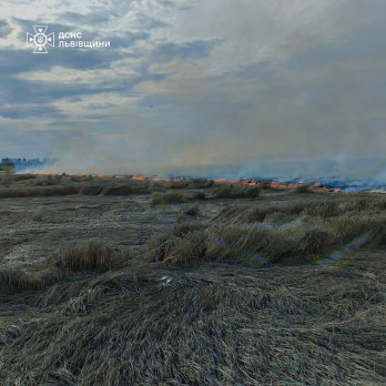 Пожежа сухостою на Львівщині