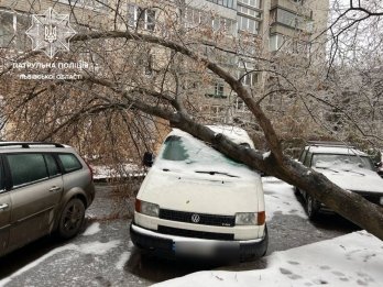 Повалені дерева, обірвані лінії електропередачі та пошкоджені авто: наслідки негоди у Львові – 01