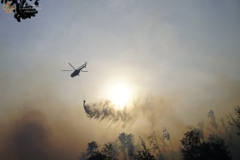 На Закарпатті третю добу намагаються ліквідувати масштабну лісову пожежу: залучили авіацію – 04