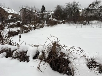 Земельна ділянка, яку продали на аукціоні