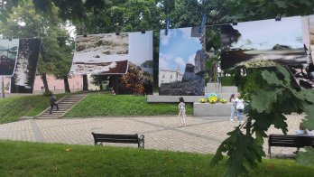 Картина фотохудожника за&nbsp;донат на&nbsp;ЗСУ: у&nbsp;День Конституції у&nbsp;Львові провели благодійну виставку (фото) – 07