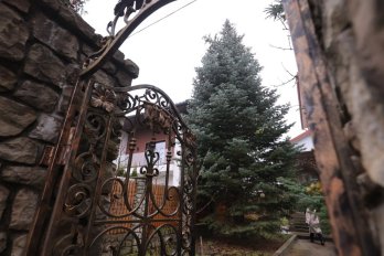 В центрі Львова встановили головну різдвяну ялинку – 04