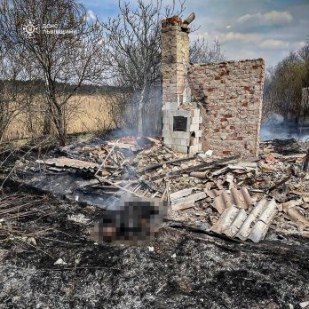 Під час пожежі сухостою у дачному кооперативі на Львівщині загинув чоловік – 01