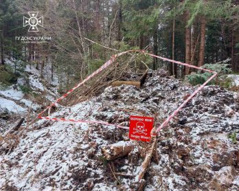 Копали лісову дорогу й знайшли артилерійський снаряд: на Львівщині виявили боєприпаси часів Другої світової – 01