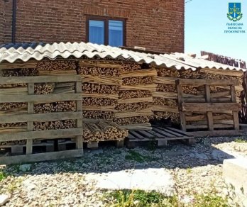 На Львівщині викрили 54-річного чоловіка на контрабанді деревини за кордон – 01