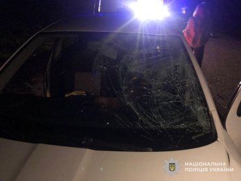 На Львівщині водій Škoda на смерть збив велосипедиста, який виїхав на дорогу – 01