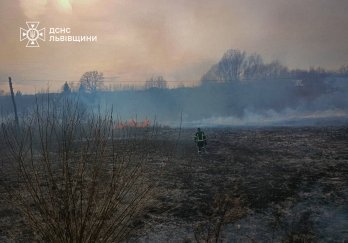 На Львівщині за добу рятувальникам довелось гасити майже сто пожеж сухостою – 03