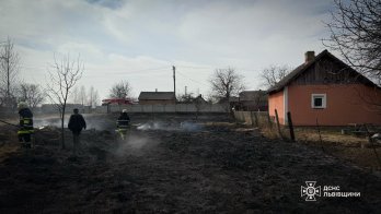 Знищені будівлі та чоловік з опіками: за добу на Львівщині було 189 пожеж сухостою – 02