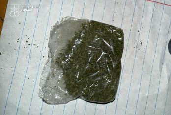 У Львові затримали 21-річного чоловіка за продаж канабісу в Instagram – 02