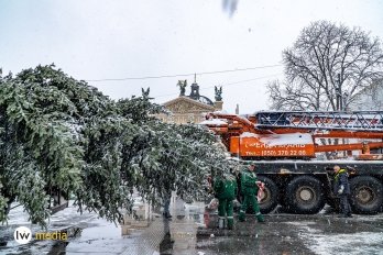 Головна новорічна ялинка Львова вже у місті: фоторепортаж – 03