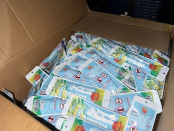 У Шегинях митники виявили електронних сигарет з канабідіолом на 1,5 млн грн – 01