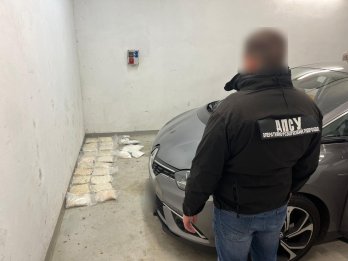У пункті пропуску на Львівщині киянка намагалася перевезти наркотики на 42 млн грн – 02