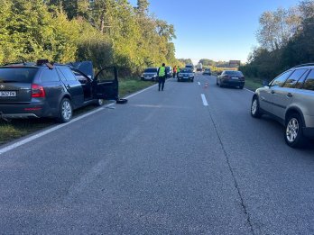 В аварії з лосем біля Великих Мостів загинув 57-річний пасажир Škoda – 01