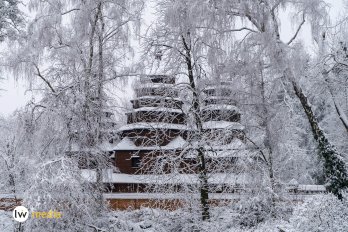 Зима у Шевченківському гаю: краєвиди та події – 11