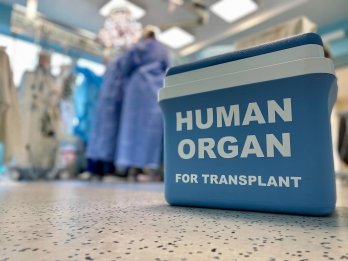 Врятовано чотири життя: у Львові успішно пересадили органи людини, яка загинула в ДТП – 01