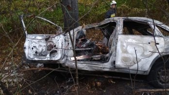 На Стрийщині сталася смертельна ДТП: Ford Focus злетів у кювет та врізався в дерево – 03