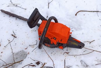 На Стрийщині двоє чоловіків незаконно зрізали дерев у заказнику майже на 1,2 млн грн – 02