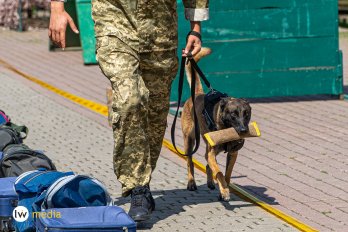 Чотирилапі ветерани: у Львові показали фронтових собак – 02