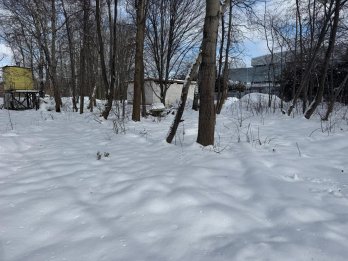 У Львівській міськраді готують землю під будівництво ресторану зі ставком біля «Арени Львів» – 05