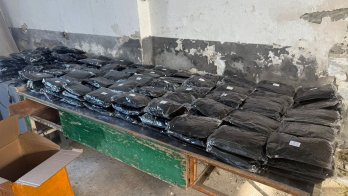 Волосся і мурахи: львівські митники показали, що намагалися провезти через кордон у 2025 році – 05