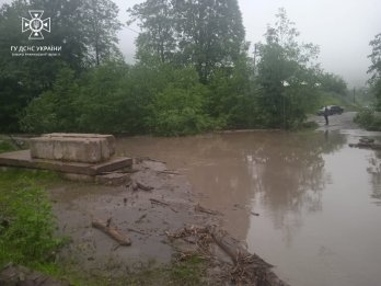 Негода на Прикарпатті. Фото: ГУ ДСНС України в Івано-Франківській області