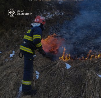 На Львівщині за добу рятувальникам довелось гасити майже сто пожеж сухостою – 02