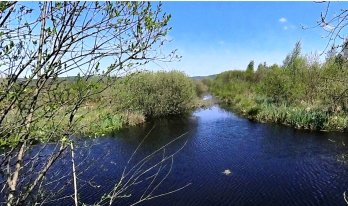 На Львівщині створили 3D-тур унікальним водно-болотним угіддям заповідника “Розточчя” – 01