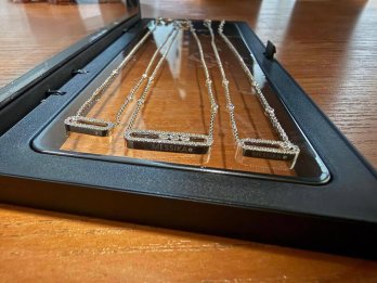 Cartier, Chanel і Messika на 1,5 млн грн: контрабанду брендових аксесуарів зупинили у Раві-Руській – 02