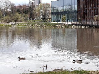 На перетині Стрийської та Наукової вулиць облаштували першу частину нового громадського простору – 04