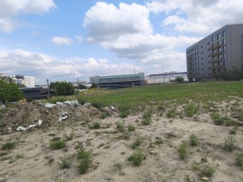 Ділянка, яку планують виставити на аукціон