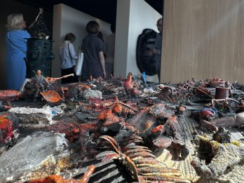 У галереї ZAG відкрилась виставка Віктора Проданчука «Екоцид» – 04