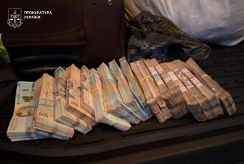 Підприємця зі Львова та лісничого викрили на незаконній вирубці дубів – 01