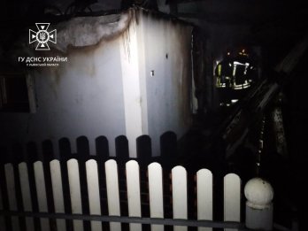 У Стрийському районі через пожежу в піднавісі з дровами ледь не згоріли 4 житлові будинки – 02