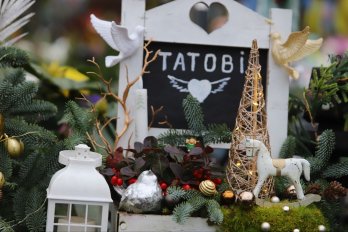 У Львові проходить неформальне засідання Ради ЄС із загальних справ – 05