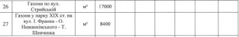 Прибирати вулиці у Дрогобичі за 9,2 млн грн буде компанія створена декілька місяців тому – 02