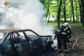 На Львівщини вщент згоріли два автомобілі (фото) – 02