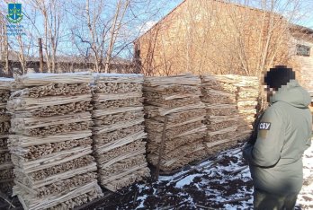 Підприємиця зі Львівщини нелегально продавала деревину польській фірмі – 03